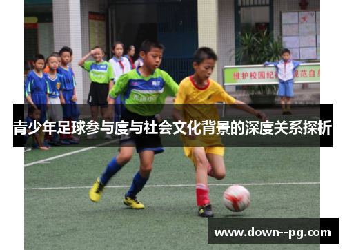 青少年足球参与度与社会文化背景的深度关系探析