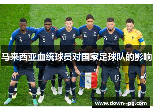 马来西亚血统球员对国家足球队的影响