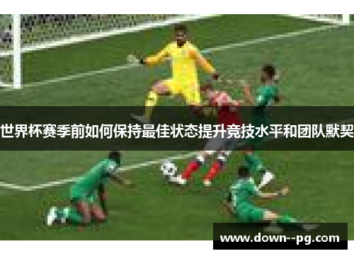 世界杯赛季前如何保持最佳状态提升竞技水平和团队默契